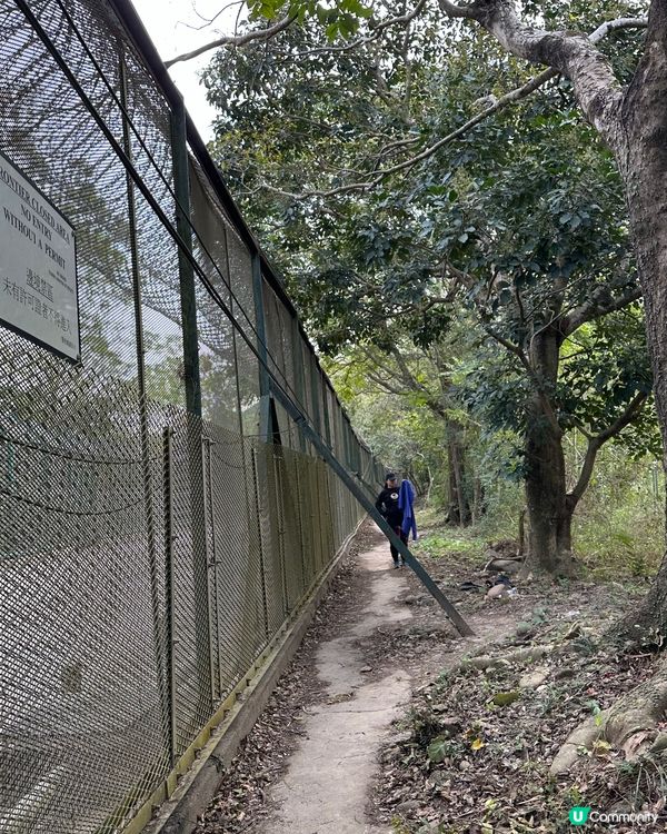 郊遊@紅花嶺郊野公園