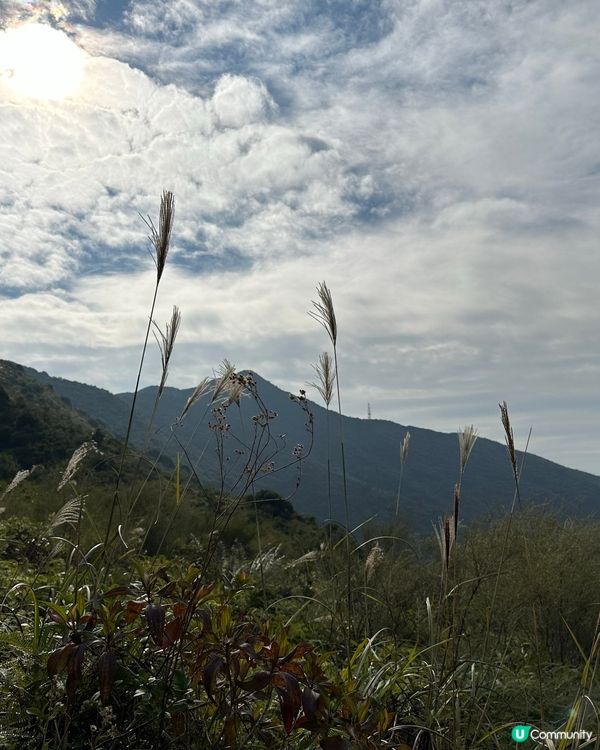 郊遊@紅花嶺郊野公園