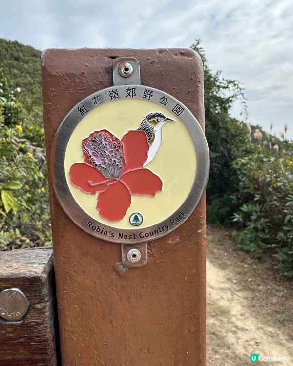 郊遊@紅花嶺公園