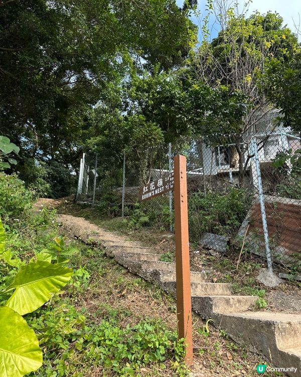 郊遊@紅花嶺公園