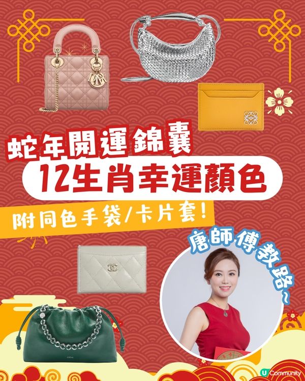 2025蛇年開運錦囊！十二生肖幸運顏色 附同色手袋/銀包參考👜