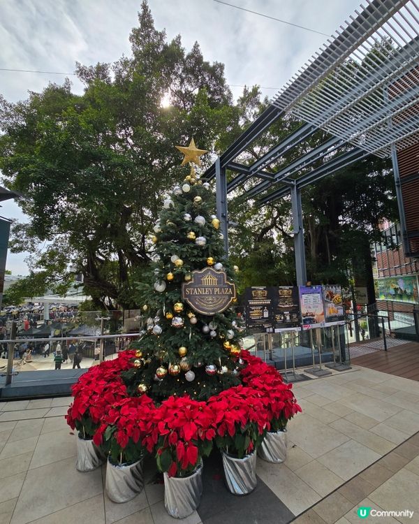 赤柱廣場🎄魔幻聖誕盛會！🎁