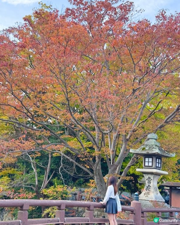 日本深度遊 - 距離京都半小時車程的近江八幡