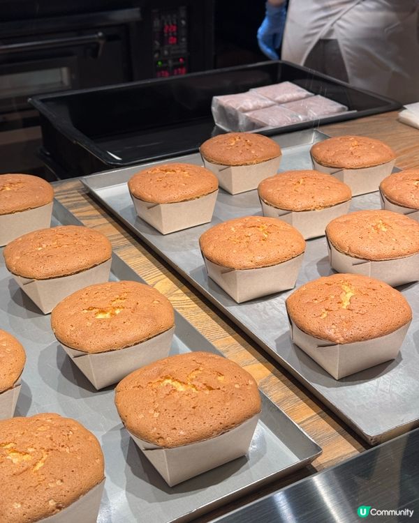 日本深度遊 - 距離京都半小時車程的近江八幡