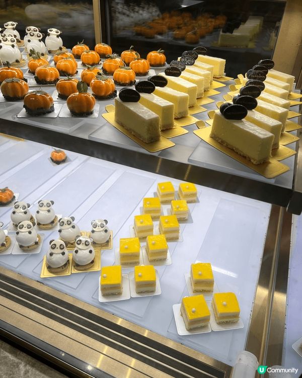 海洋公園富麗敦酒店免費生日蛋糕🎂自助餐！