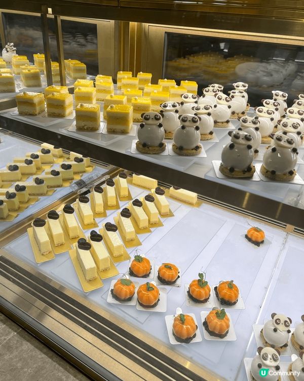 海洋公園富麗敦酒店免費生日蛋糕🎂自助餐！