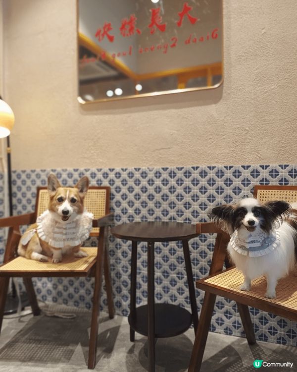 今次到訪位於北角嘅糕點時光，係一間香港嘅社企，仲係一間寵物友...