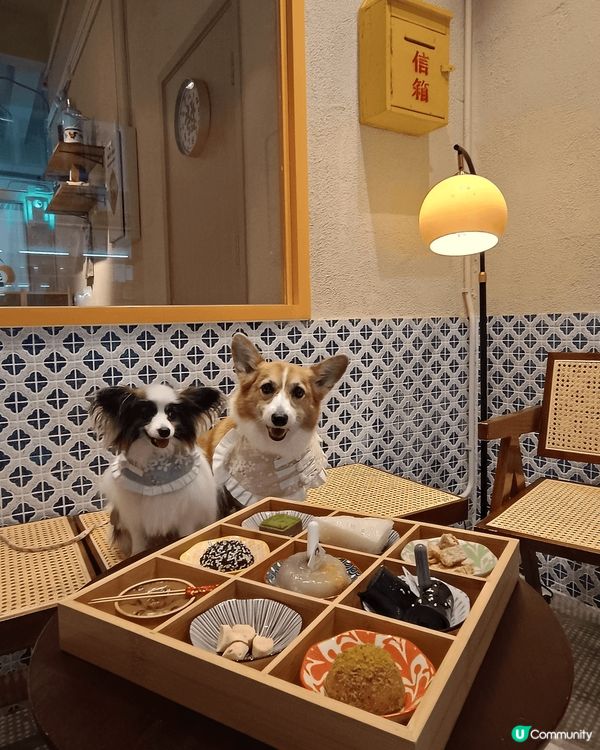 今次到訪位於北角嘅糕點時光，係一間香港嘅社企，仲係一間寵物友...