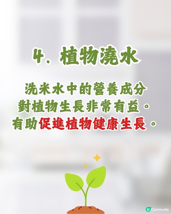 洗米水4個隱藏功效🍚冬天超有用⁉️😯❄️ 日本人都推介🇯🇵 