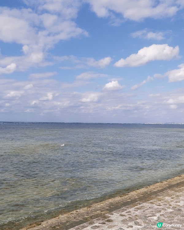 我係日本超市買的朱古力蛋糕布甸，還有黑芝麻大福。