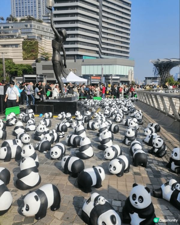 非常高興及興奮地去了尖沙咀星光大道和2500隻熊貓打卡，人多...