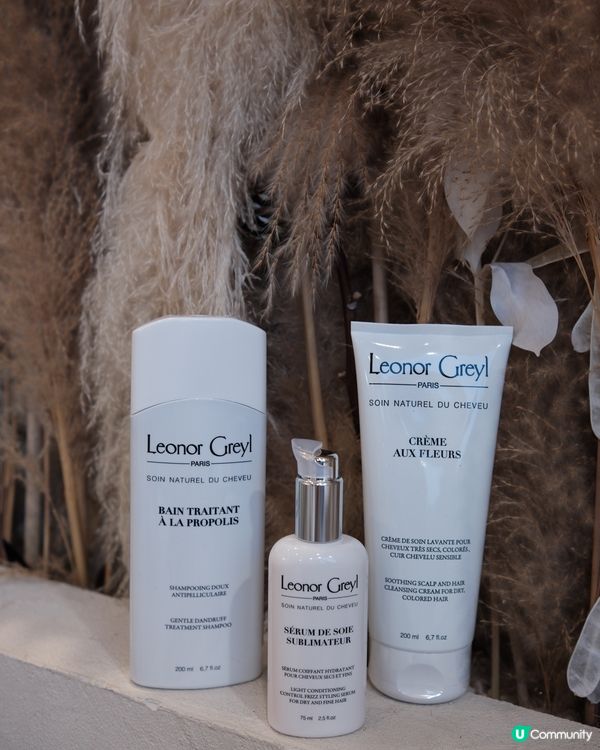 秋天轉季，頭髮都轉季啦🍂