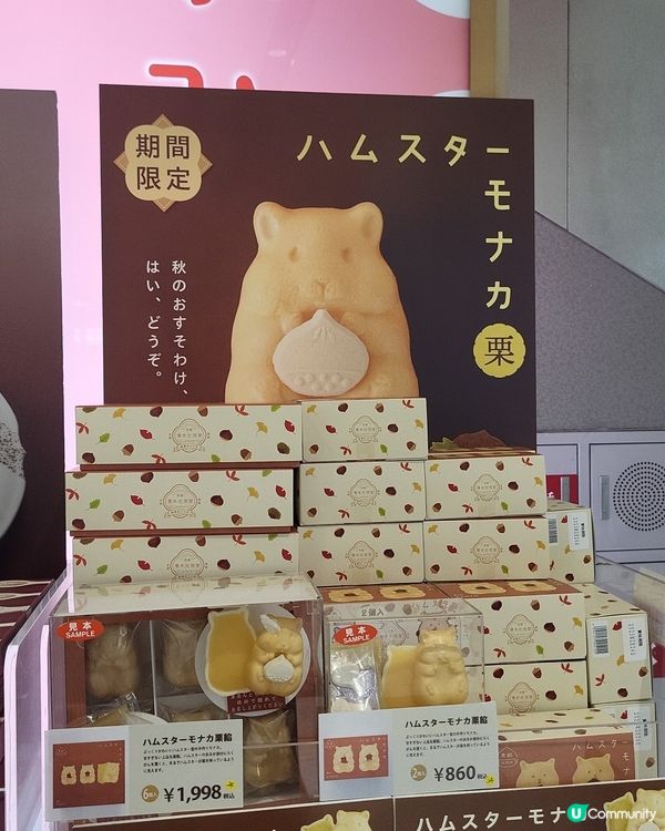 🇯🇵京都車站必買手信攻略‼️