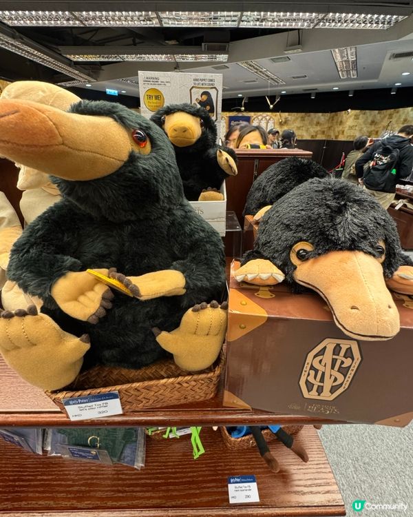 又一城哈利波特