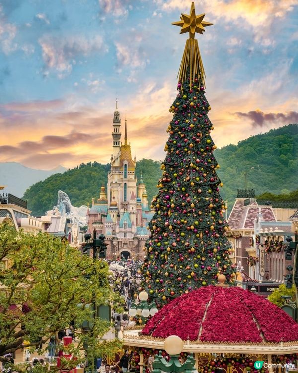 迪士尼聖誕打卡📸  快啲去影靚相啦！🎄