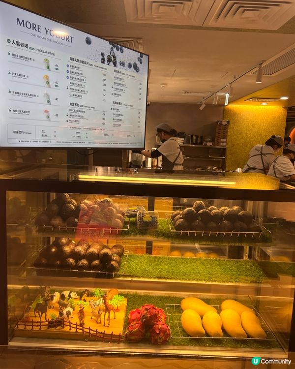 我同姊妹完全係Yogurt控