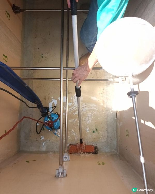 【清洗水缸2025】 定期清洗食水缸 確保水質衛生與安全!