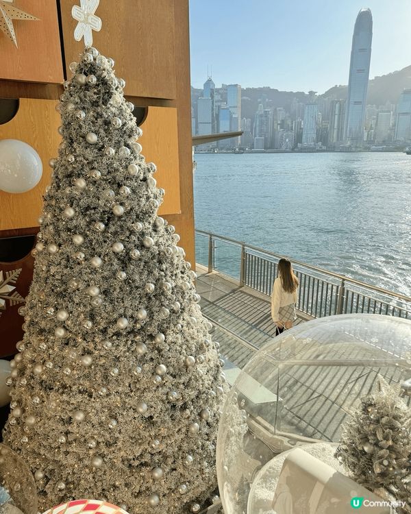 每年聖誕必到的海港城，今年名為「The Big Little...