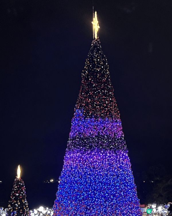 A beautiful Christmas Tree and...