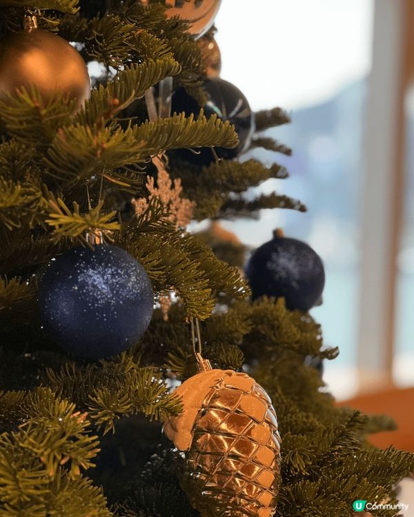 A beautiful Christmas Tree and...