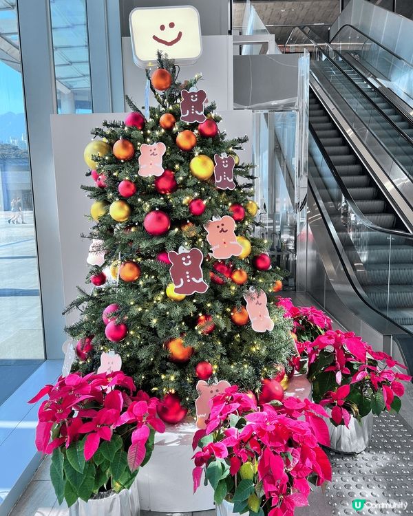 東薈城名店倉x DINOTAENG韓國超人氣文創設計品牌，每...