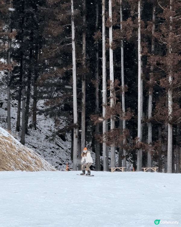 冬天緊係要去日本滑雪睇雪景😍 白茫茫嘅雪景真係好靚！推薦點都...