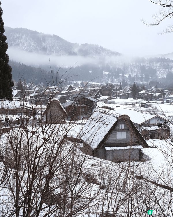 冬天緊係要去日本滑雪睇雪景😍 白茫茫嘅雪景真係好靚！推薦點都...