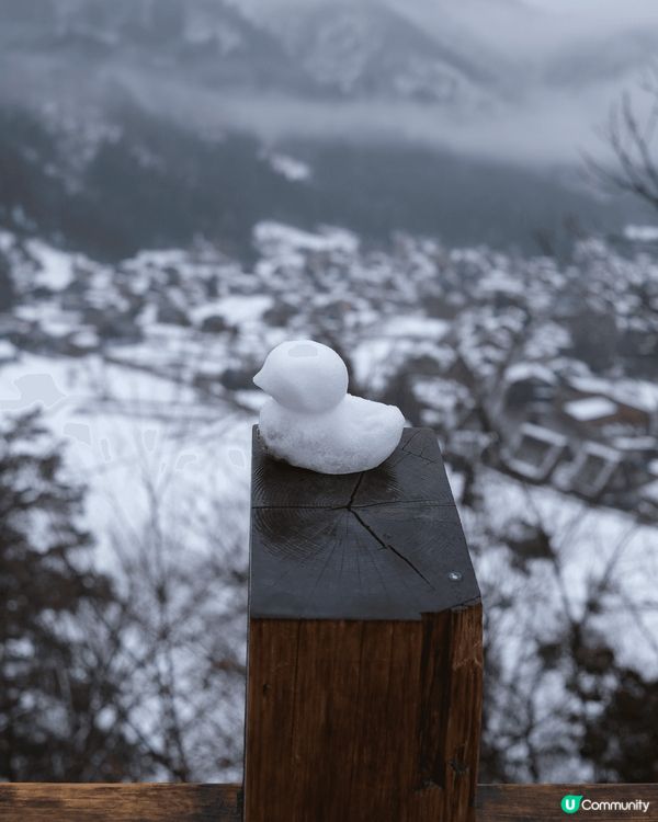 冬天緊係要去日本滑雪睇雪景😍 白茫茫嘅雪景真係好靚！推薦點都...