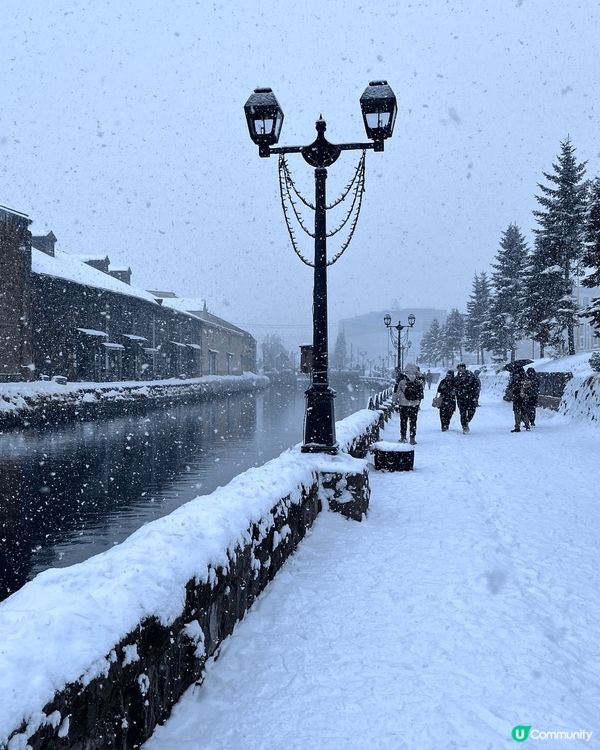 今個冬天，去了北海道之旅，鋪滿雪的畫面，真的又浪漫又溫馨！