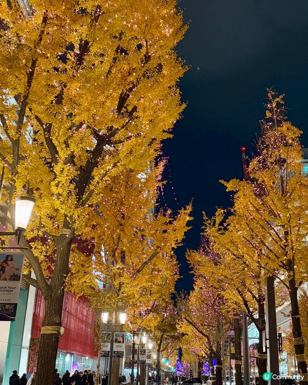 大阪嘅商場及街道都有滿滿嘅節日氣氛，加埋天氣凍凍哋真係好感受...