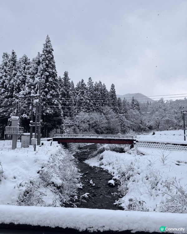 最近去了日本旅遊，為了滑雪於是從東京乘坐新幹線前往滑雪勝地越...