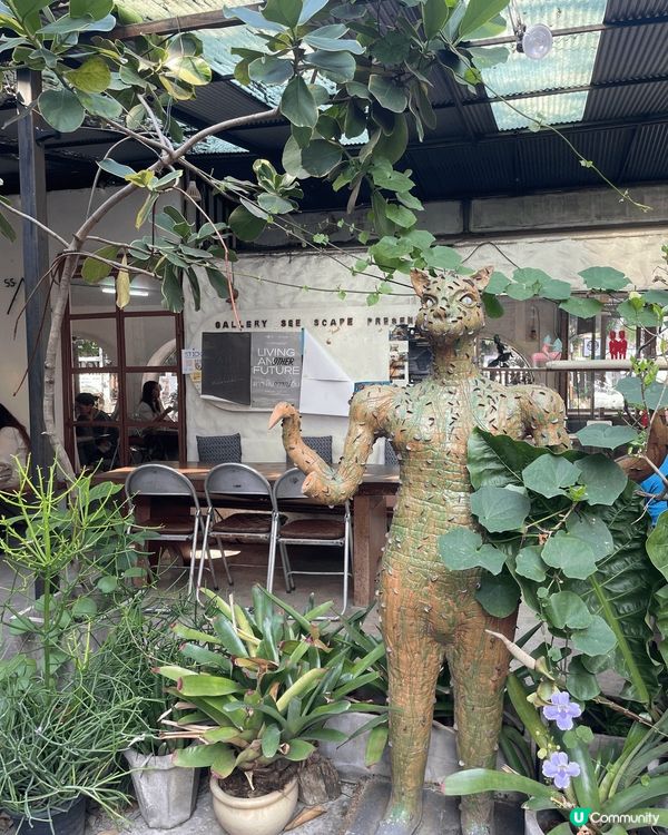 香港嘅冬天咁凍，最適合就去泰國走返一轉。泰國依家都有好多特色...