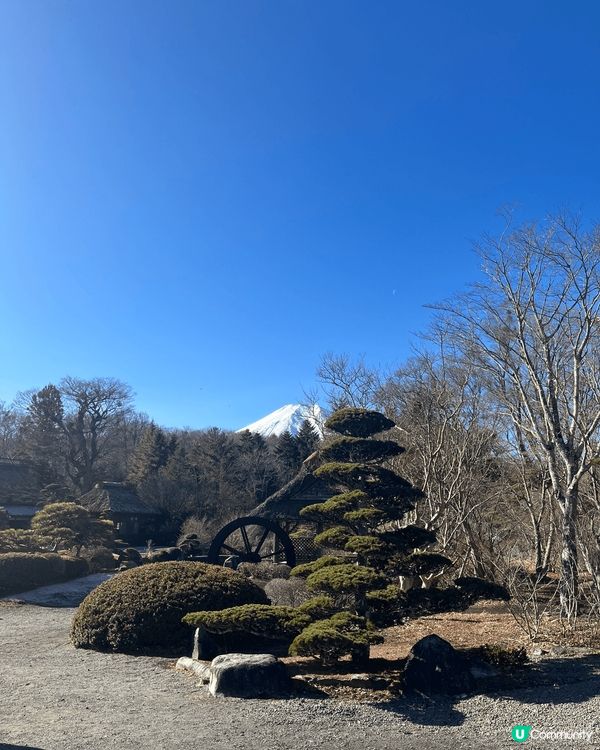 東京有好多靚嘅打卡地方，特別係富士山，有好多唔同嘅水果同埋美...