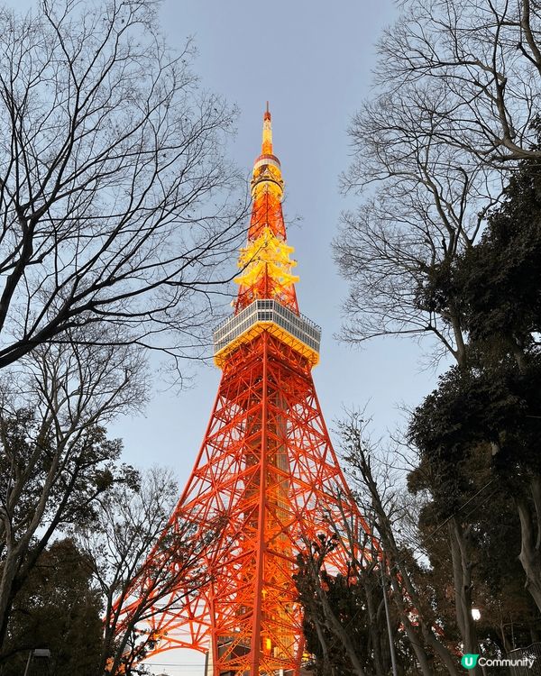 東京有好多靚嘅打卡地方，特別係富士山，有好多唔同嘅水果同埋美...