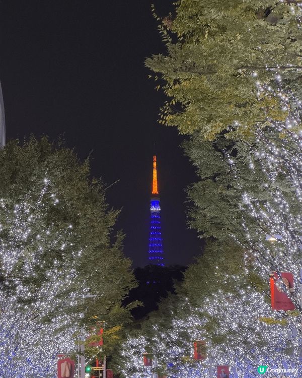 12月一定要黎東京六本木睇點燈儀式，再加上東京鐵塔真係超級靚...