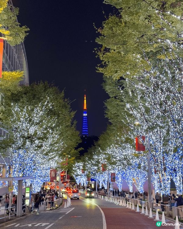 12月一定要黎東京六本木睇點燈儀式，再加上東京鐵塔真係超級靚...