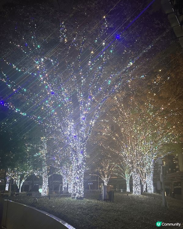 日本既六本木每年聖誕都有好靚既燈飾😍仲可以睇到東京鐵塔，一次...