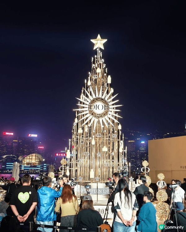 冬日打卡靚相，必去尖沙咀， 半島酒店，K11 MUSEA地下...