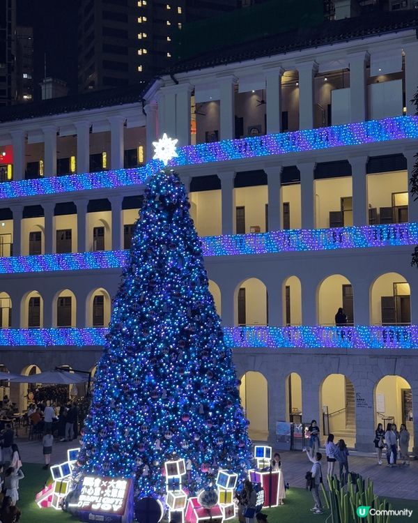 ［大館］唔洗迫又影到靚嘅聖誕樹