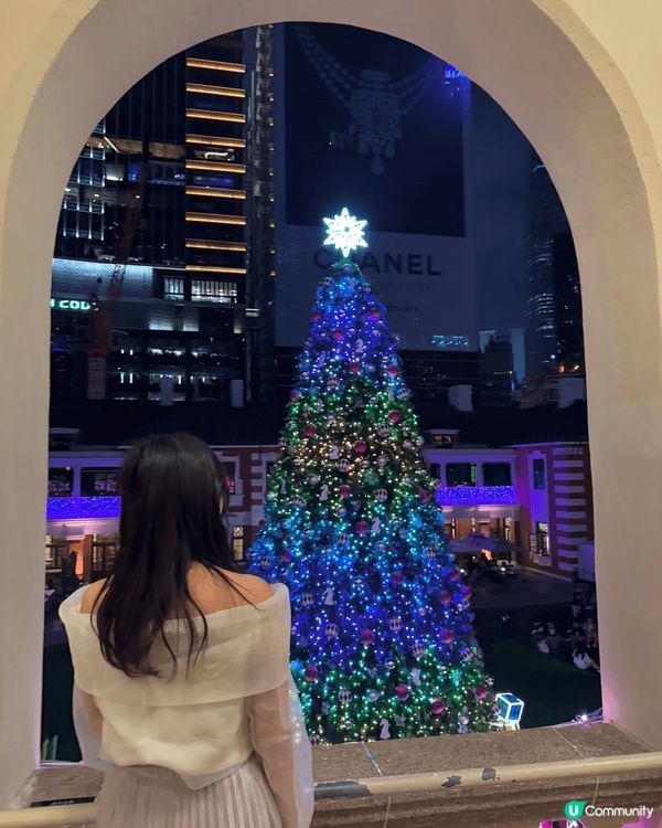 ［大館］唔洗迫又影到靚嘅聖誕樹