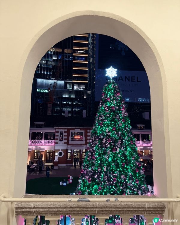 ［大館］唔洗迫又影到靚嘅聖誕樹