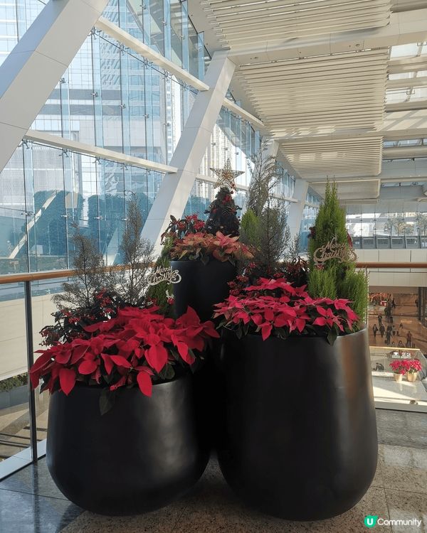 聖誕好去處打卡當然 去呢個西九,圓方及icc影相超 好看, ...