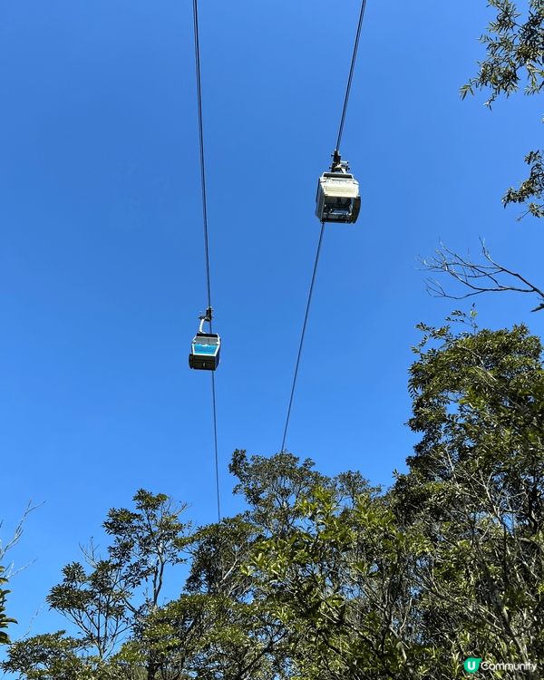 大嶼山行山打卡欣賞沿途美景，睇到纜車在頭上經過，真係好靚！
