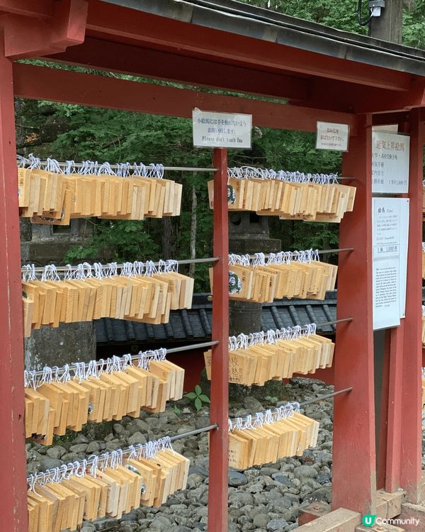 日本的三大神社之一的日光東照宮，其絢爛豪華之廟殿，已全部被指...