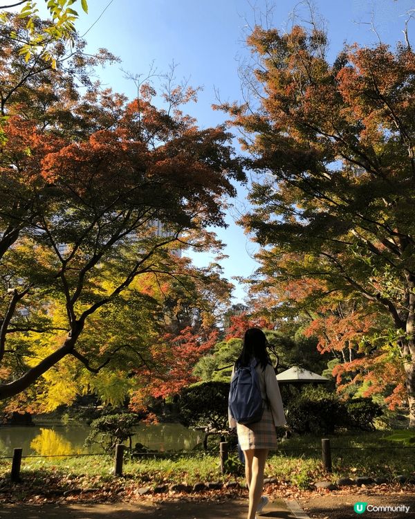 日比谷公園很靓，雖然唔係熱門打卡點，但人少而且好多銀杏葉紅葉...