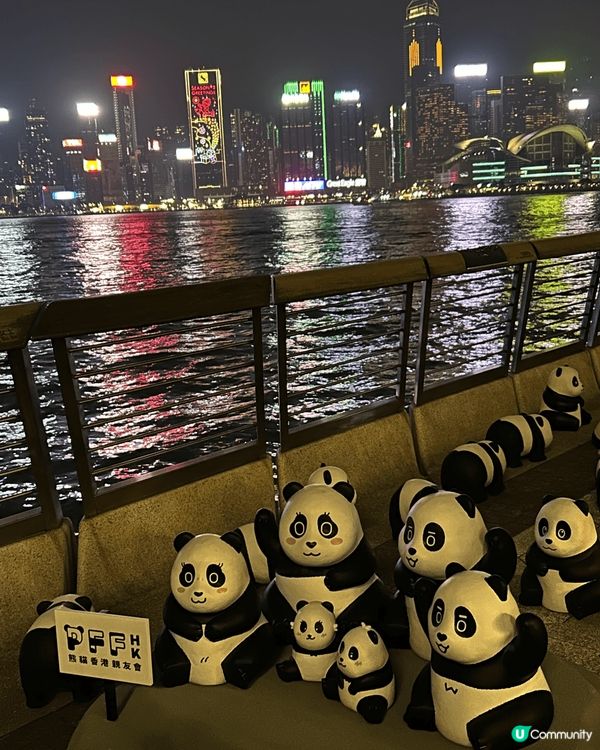 尖東的聖誕燈飾有個位好靚，就是在尖沙咀中心與帝國中心中間的車...