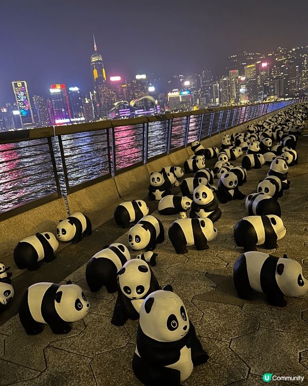 尖東的聖誕燈飾有個位好靚，就是在尖沙咀中心與帝國中心中間的車...