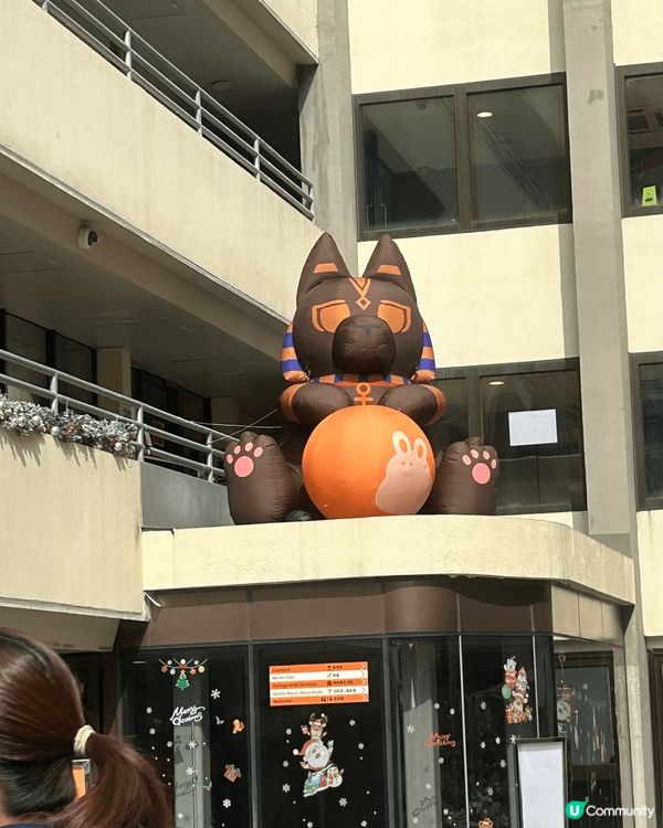 住在深水埗咁多年,竟然都無去過｢美荷樓｣遊覽 XP