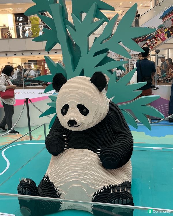 從繁忙的生活叉電 - 去福岡對着大海品嘗美味嘅魚生飯  、同...