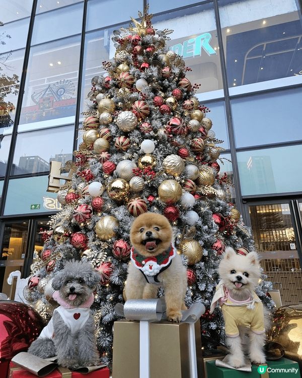 從繁忙的生活叉電 - 去福岡對着大海品嘗美味嘅魚生飯  、同...